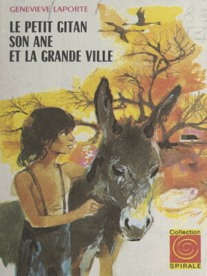 cover image of Le petit Gitan, son âne et la grande ville